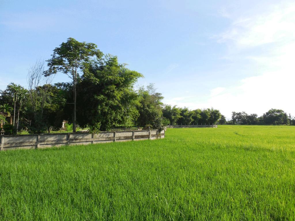 Palm Spa Village Resort Mae Rim Exterior photo