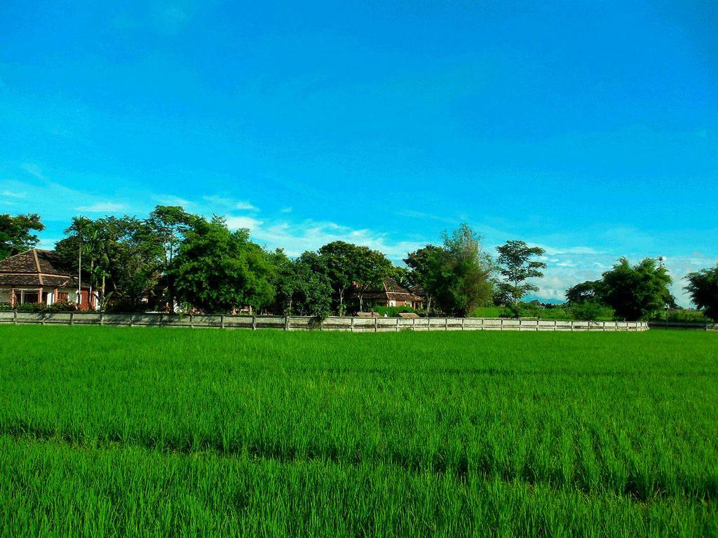 Palm Spa Village Resort Mae Rim Exterior photo